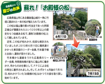 福山城の松（資料）