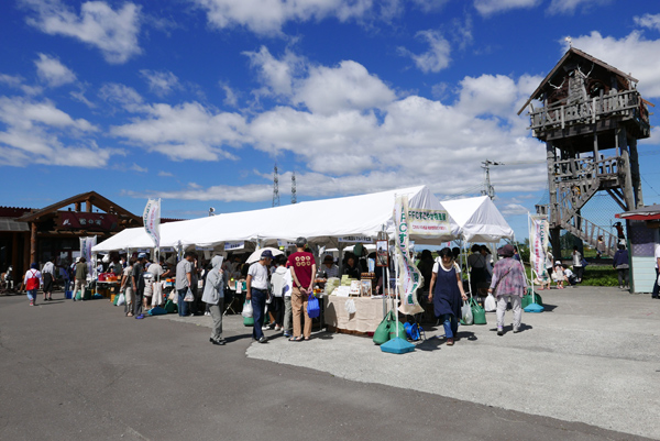 1608すこてん北海道5