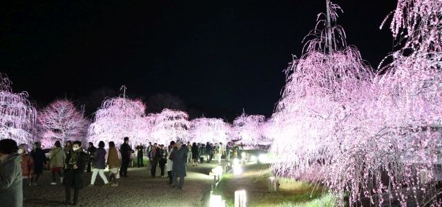 3月本社セミナー～鈴鹿の森庭園見学付きセミナー～のご報告