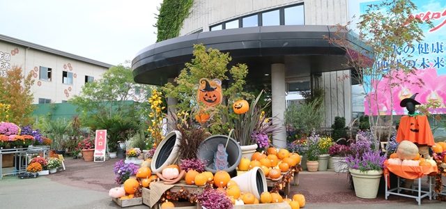 FFCパビリオン　ハロウィンフェア開催中！！