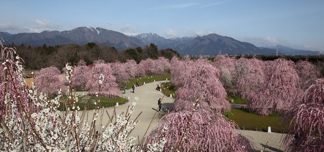 鈴鹿の森庭園が「死ぬまでに行きたい！世界の絶景　新日本編」に掲載されました！