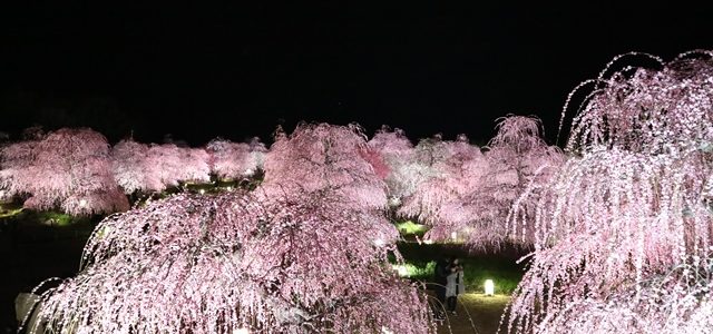 3月本社セミナーのご報告