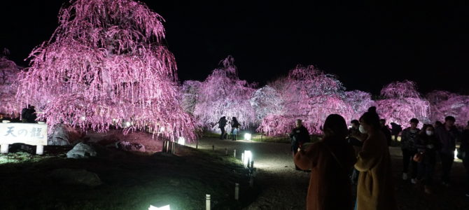 3月本社セミナー～鈴鹿の森庭園見学付きセミナー～のご報告