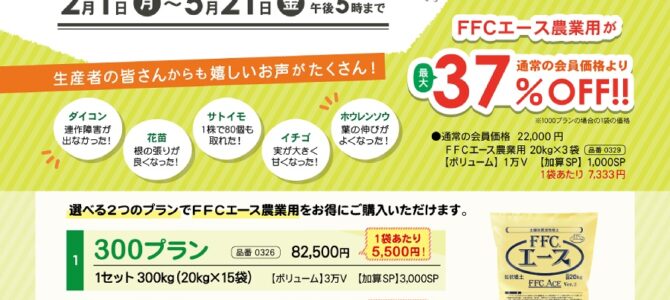 FFCエースのキャンペーン開始！（2021春・お役立ち情報も）