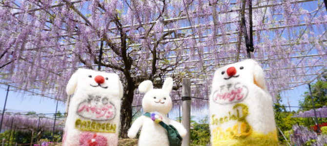 赤塚植物園　花のリレー続いています！