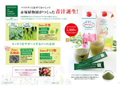 フィランソスタイル16号 青汁 Pairogen de Green Support パイロゲンでグリーンサポート
