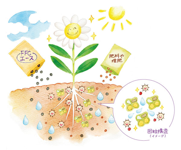 植物の健康と環境を整えるFFCエース