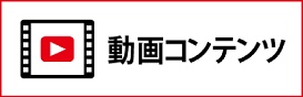 動画コンテンツ